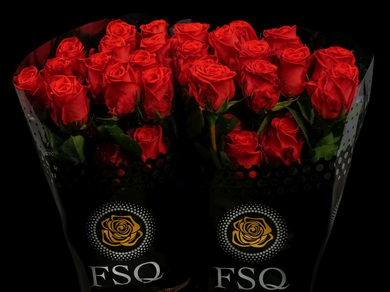 ECUADOR_ROOS_ROSA_ROSE_FLOWER_